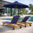 Maximilian Outdoor Teak Wood Chaise Lounge-1237900671