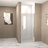 Tempered Glass Pivot Shower Door