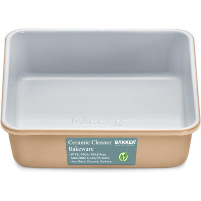 Lifemaster Pan