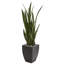 Plante sansevieria artificielle en pot de fleurs