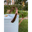 Metal Watering Can-75050059