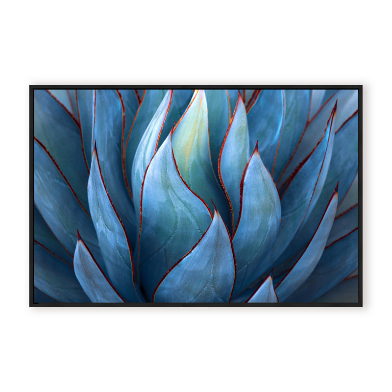 Nature Inspired Blue Agave Abstract by  - Picture Frame Graphic Art on Paper, 16" H x 24" W x 1.125" D, Framed Print, Gold