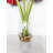 Amaryllis Arrangement in Vase