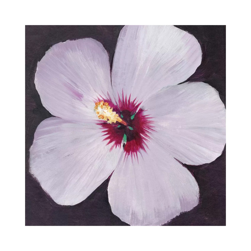 Hibiscus Portrait I by Tim OToole - Wrapped Canvas Painting, 45.72cm H x 45.72cm W x 1.9cm D