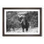 The Majestic Elephant - Framed Print-56627777-56627778