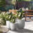 Keyondria Handmade Pot Planter-109212419