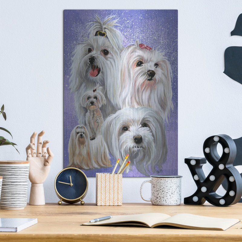 «Maltese 2» par Barbara Keith, H 16 po x l 12 po