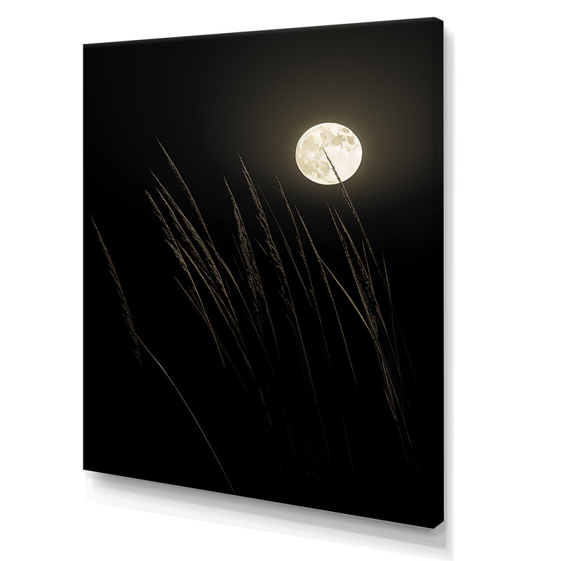 Ivoire, isolement au clair de lune I, H 20 po x l 12 po x P 1 po, Toile tendue
