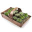 Panier de jardin en métal trug/métallique