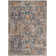 Onasander Performance Oriental Rug