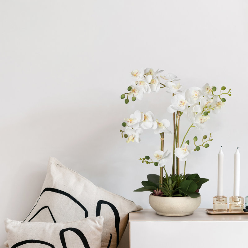Arrangement de soie orchidée en pot, Blanc