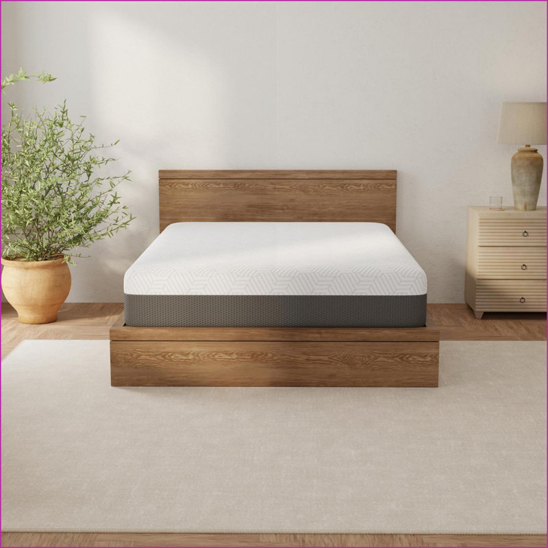 Mattresses 12 Inch Twin Gel Memory Foam Mattress with Cooling Cover - Omne Fria | Foam | Twin, Twin