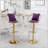 Nakyra Swivel Upholstered Adjustable Height Counter Stool with Metal Frame-1966517521