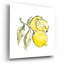 «Lemon Still Life II» par Chris Paschke-101632185