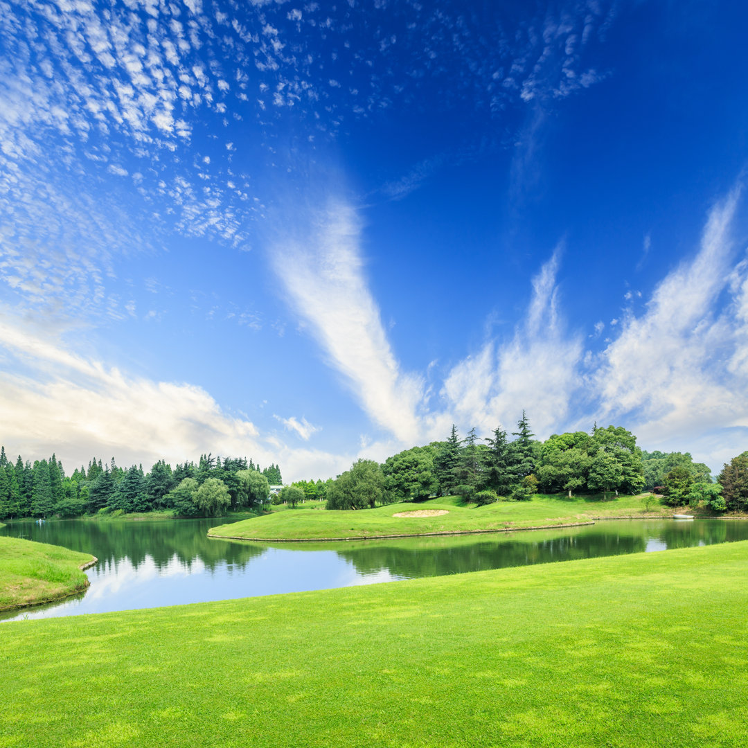 Field of Green Grass von Zhaojiankang - Leinwandfoto