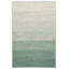 Tapis naturel / vert Dequavius-276077234