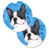 Boston Terrier