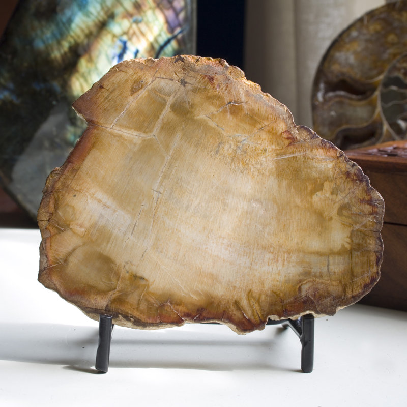 Crescantia Crystal