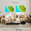 Kiwi Yarlin-108800648