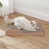 Oak Wood Finish