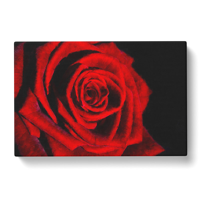 Red Rose Flower Vol.6 - Wrapped Canvas, 40cm H x 60cm W x 3cm D