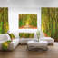 «Fall Greenery and Road Straight Ahead», impression-35061955-35061960