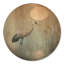 Helmsworth II - art mural rond en bois botanique-1846257018-1846256997