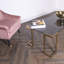Aarshiya Coffee Table