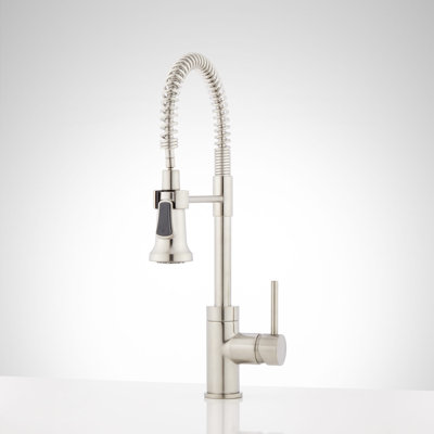 Presido Single Handle Kitchen Faucet with Pullm Down Spring Spout