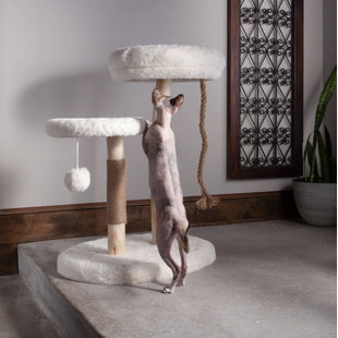 Arbre à chat The Oasis