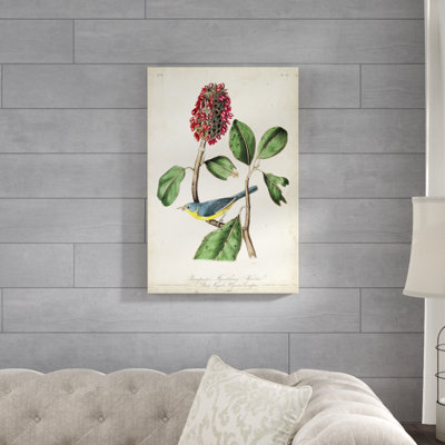 «Bonapartes Flycatching Warbler» par James Audubon, reproduction d'art sur toile
