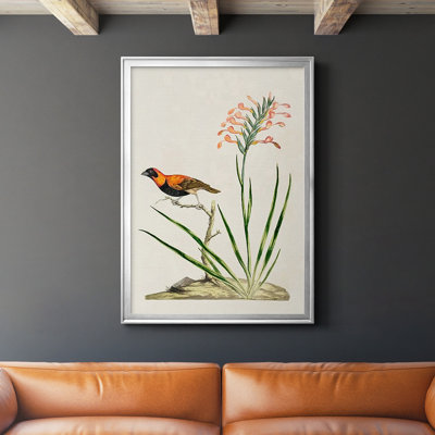 Bird in Habitat III, reproduction encadrée de qualité supérieure - prête à être accrochée