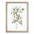 Oak Framed selected
