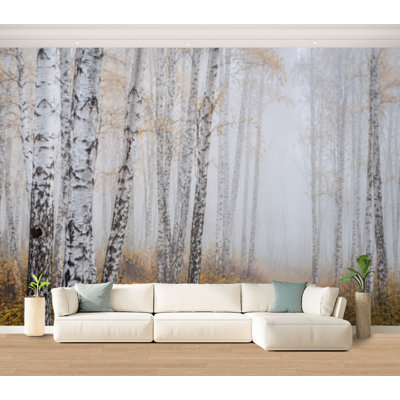 Wall Mural Peel and Stick Wallpaper Birch forest fog Autumn view Focus foreground tree trunk Self-Adhesive Removable Contact Paper Wall Decor for Living Room Bedroom 100"H x 144"W