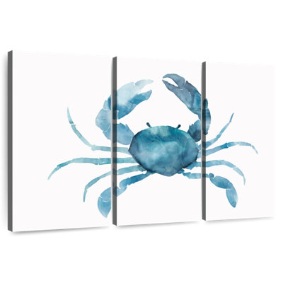 Crabe bleu Brampt