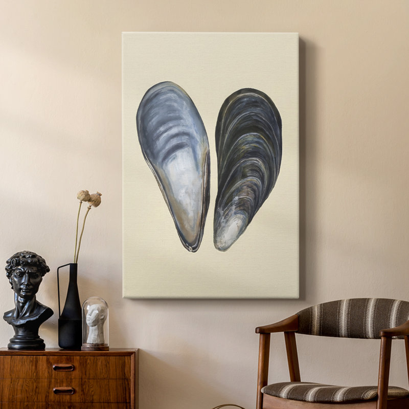 Coquilles bivalves I - galerie Cavas sur mesure, H 60 po x l 40 po