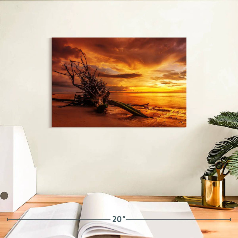 Gillard Driftwood au coucher du soleil, H 8 po x l 12 po