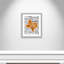 «State Your Name Texas», cadre photo-59977504-59977507