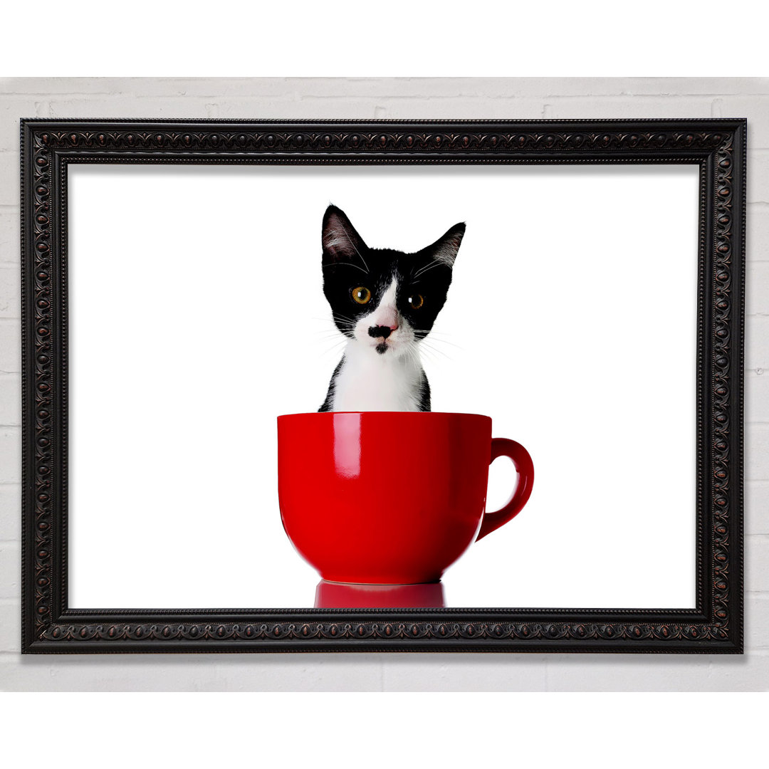 Katze in einer Teetasse - Einzelne Bilderrahmen Kunstdrucke