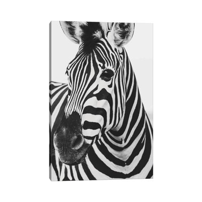" Mono Zebra " by Pixy Paper