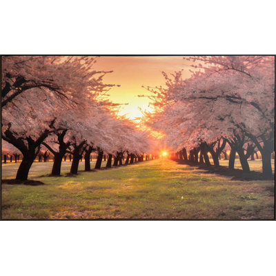 Blush Orchard - 36" x 60" - Hand-Embellished Canvas in Frame