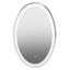 Aydann Flat Vanity Mirror-69180167