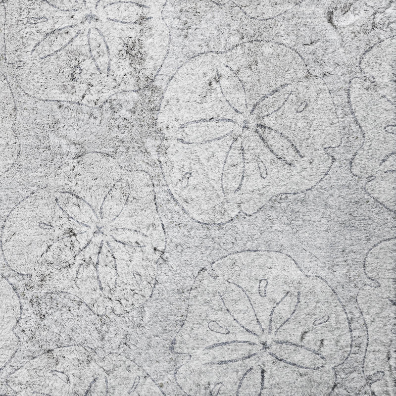 Premium Machine Washable Dream Shag ADS189 Sand Dollar Rug, Gray, 9' x 12'