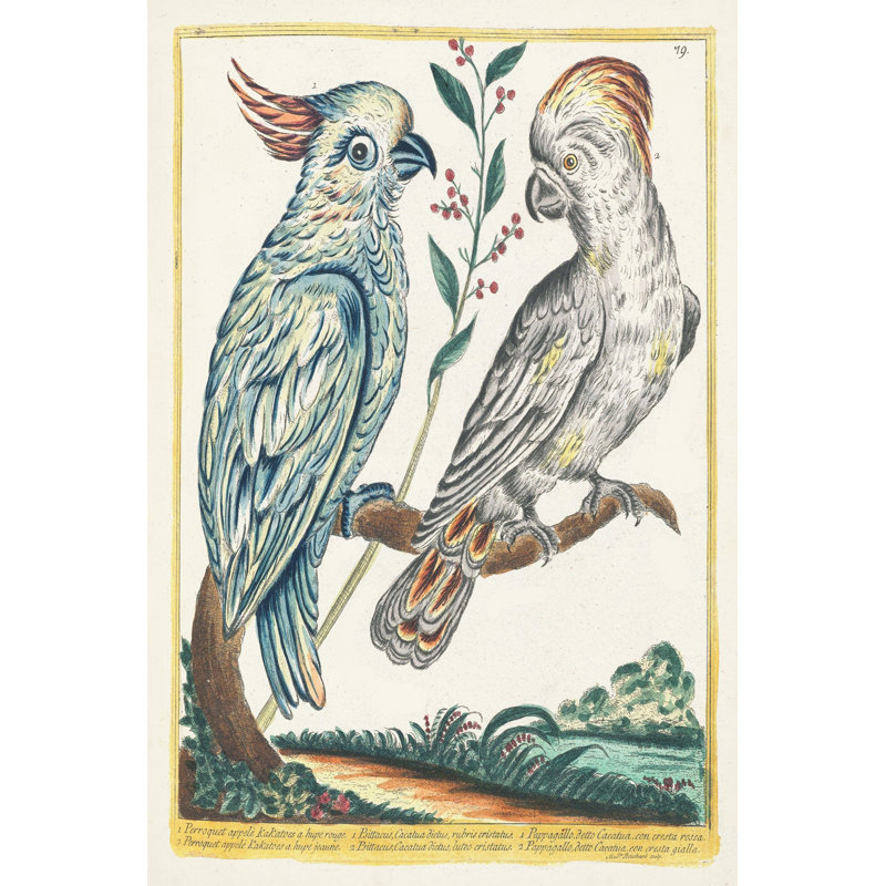 Pastel Birds I - Painting on Canvas, 122 cm H x 81 cm W, Wrapped Canvas
