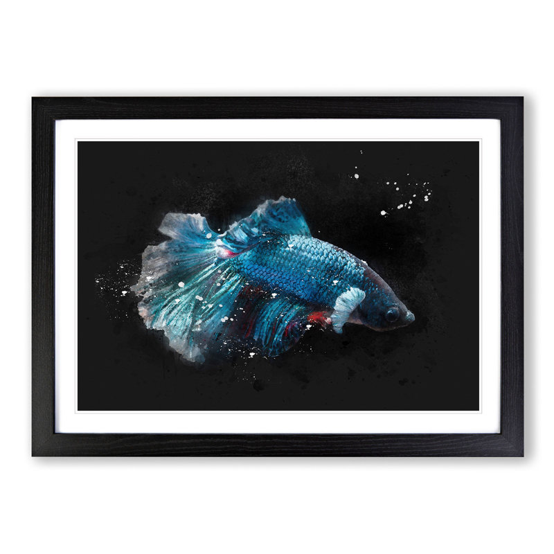 Blue Siamese Fighting Fish - Single Picture Frame Painting on MDF, Black Framed, 62cm H x 87cm W x 2cm D