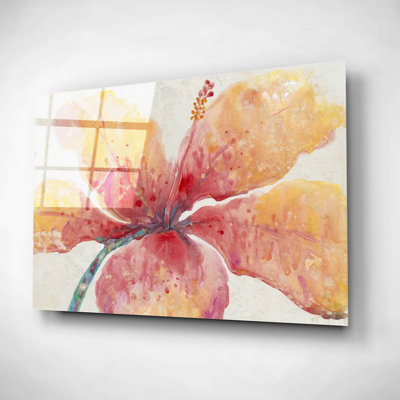 " Blooming Hibiscus " by Tim O'Toole