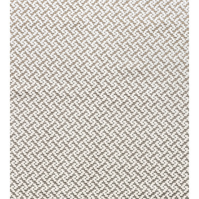 Rhapsody Fabric