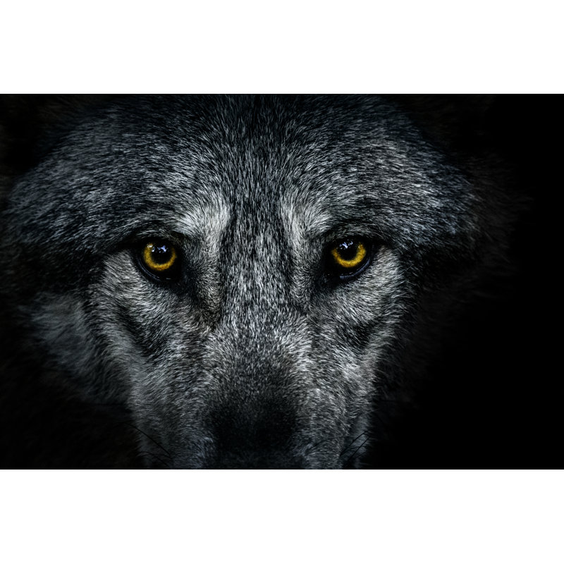 Wolf Eyes by Zocha_K - Wrapped Canvas Print, 61cm H x 91cm W x 3.8cm D