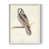 Cadre simple blanc