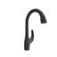 Pagano 2.0 Pull-Down Kitchen Faucet-1345294262